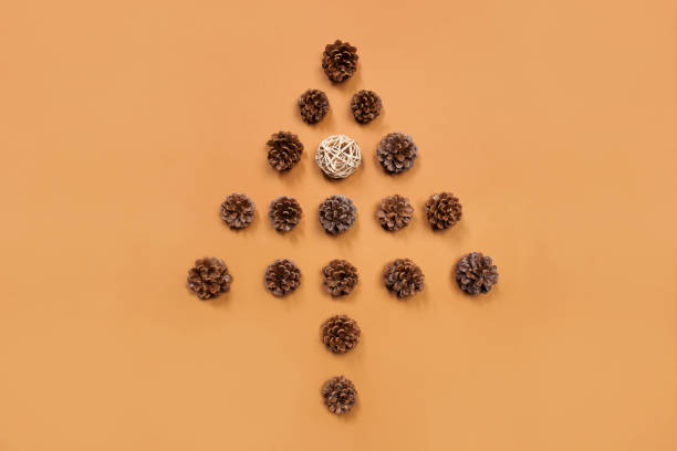 Dry pine cones in shape of christmas tree on beige background