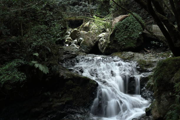 istock Head to Oodar Falls,walkway,Summer (Ochi Town, Kochi Prefecture) 1349373613