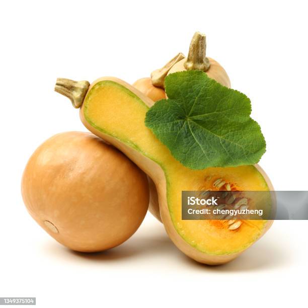 Butternut Squash Stock Photo - Download Image Now - Vegetable, Fruit, Winter