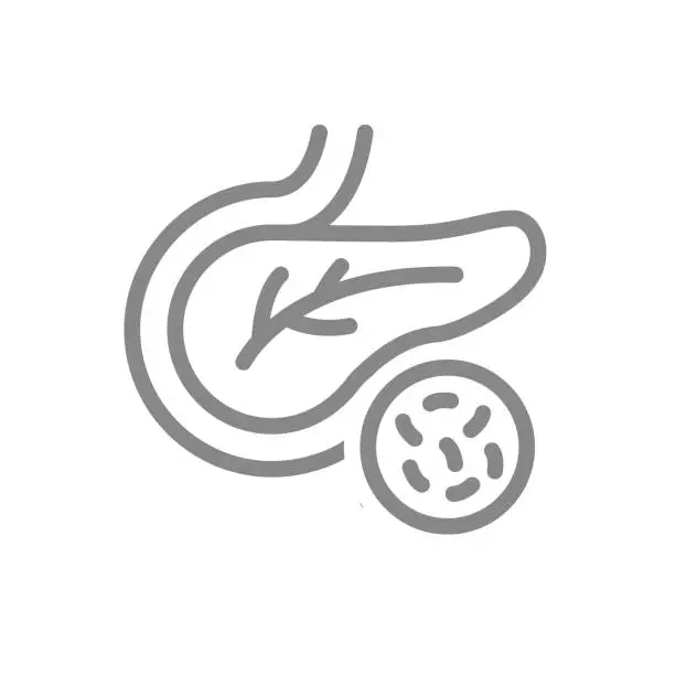 Vector illustration of Pancreas with bacteria line icon. Disease internal organ, pancreatitis symbol