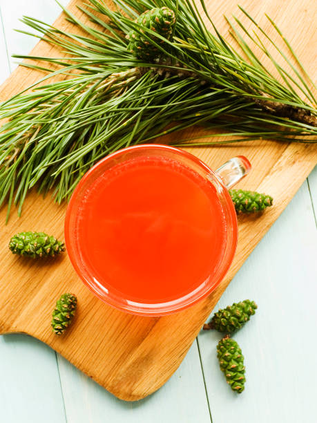 Pine cone jam Pine cone tree homemade jam tea on wooden background. Shallow dof. pine needle tea stock pictures, royalty-free photos & images