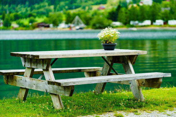 istock Rest stop area picnic site on fjord shore 1349378042