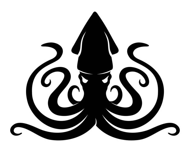 Black squid on white background. Illustration with black squid on white background. calamari stock illustrations
