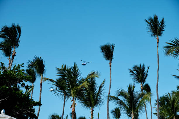 istock Helicopter and palms against the sky. 1349379342