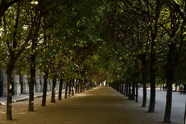 istock Alley in the city park 1349380635