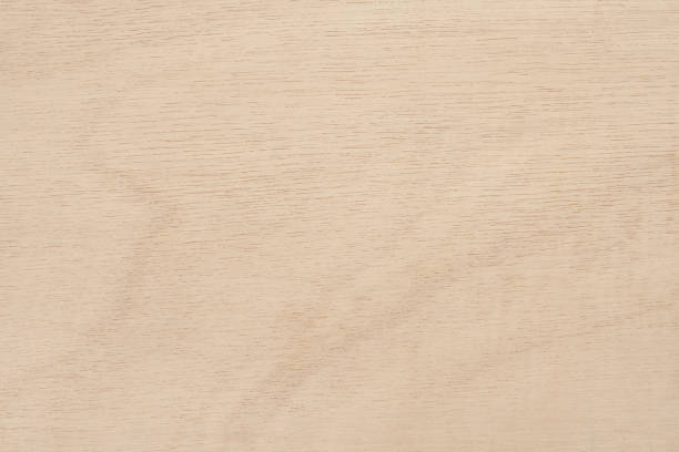 istock Plywood texture background, wooden surface in natural pattern for design art work. 1349384064