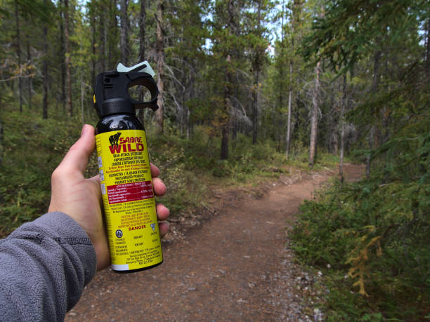 Hiker holding bear spray (Sabre Wild brand) used as bear attack deterrent in forest near Canmore, Canada with hiking trail in background. Focus on can. stock photo