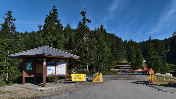 shelter with information boards and bear warning sign at trailhead in mount seymour provincial park on sunny day in autumn season. - mt seymour provincial park imagens e fotografias de stock