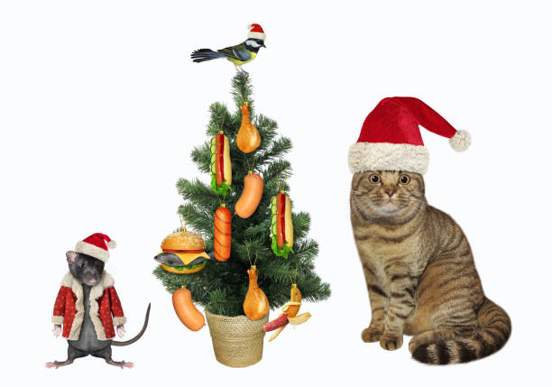 istock Cat decorates tree with delicious food 3 1349395379