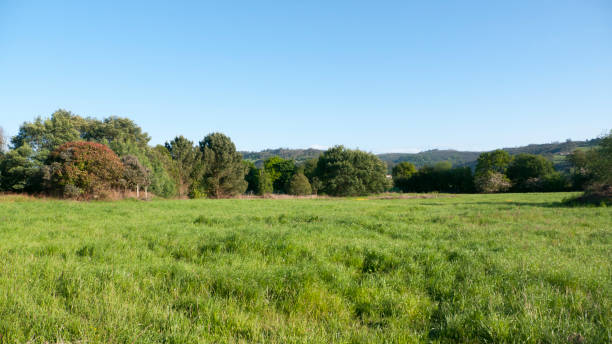 istock Grass meadow and blue sky with mountainous horizon 1349398310