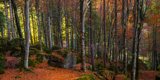 istock val masino, sondrio, italy 1349404559