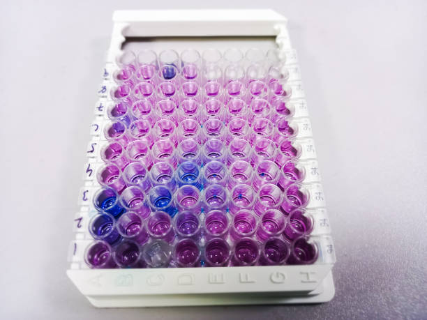 istock Enzyme-linked Immunosorbent assay (ELISA) plate, Immunology  testing method in medical laboratory 1349405656