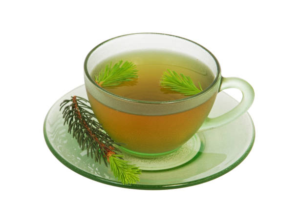 Cup of fir tree tea isolated on white Cup of fir tree tea hot drink isolated on white pine needle tea stock pictures, royalty-free photos & images