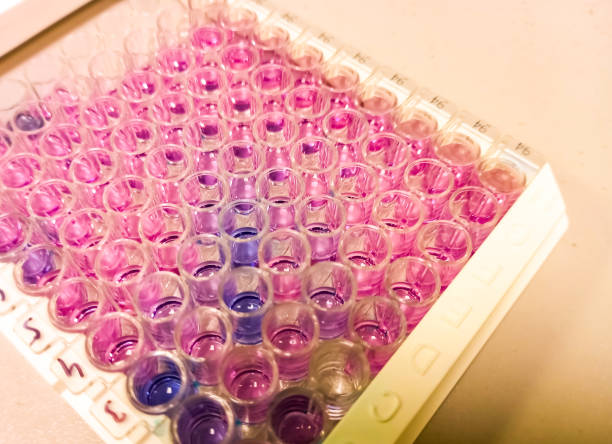 istock Enzyme-linked Immunosorbent assay (ELISA) plate, Immunology  testing method in medical laboratory 1349405743