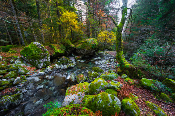 istock val masino, sondrio, italy 1349407732
