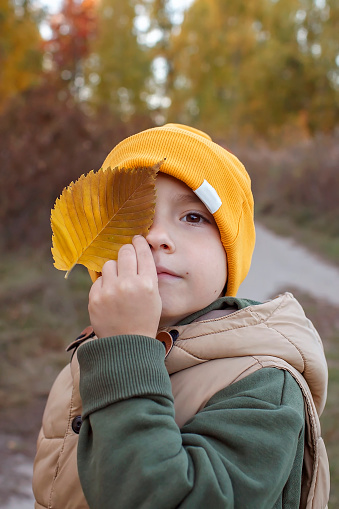 Mischievous little boy in yellow hat covering one eye with yellow leaf during autumn family walk. Warm weather and warm stories, outdoor lifestyle, active family lifestyle