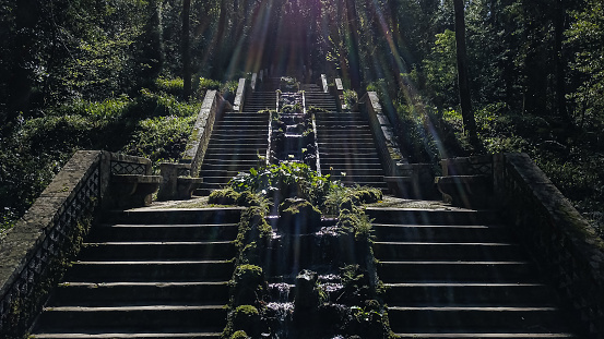 Wonderful staircase with water source and surrounded by nature and forest. The two water lines prevalent Forest Buçaco unite in Cold Spring, causing a water line that runs through the Vale dos Fetos, whose name derives from a set of arboreal ferns, arranged along the valley.