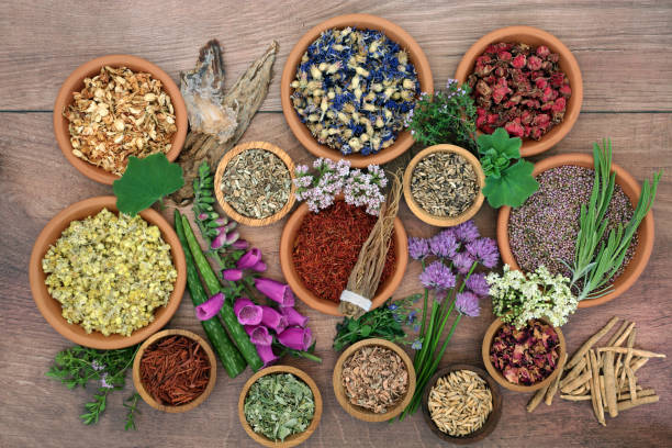 istock Alternative Herbal Medicine with Herbs and Flowers 1349414145