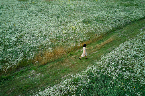 Drone aerial view of woman in dress walking in flower blooming meadow, in countryside, in the field on summer day in meadow, feel the nature, relax, alone travel. Slow motion.