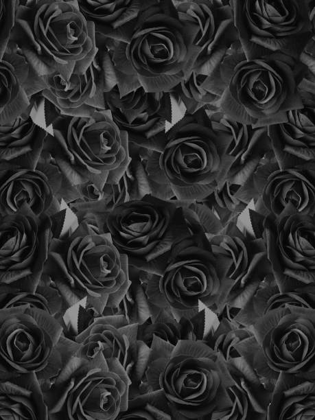 istock black and white roses textured background, nature, banner, template, background 1349421544