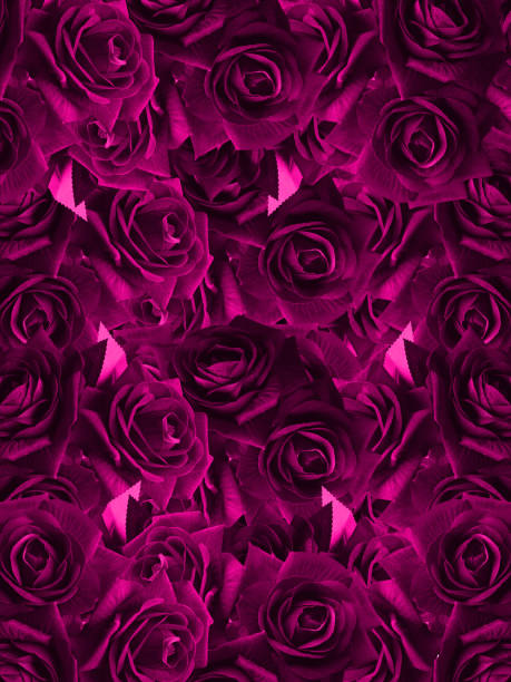istock beautiful pink roses textured background, nature, banner, template, wedding invitation template background 1349421582