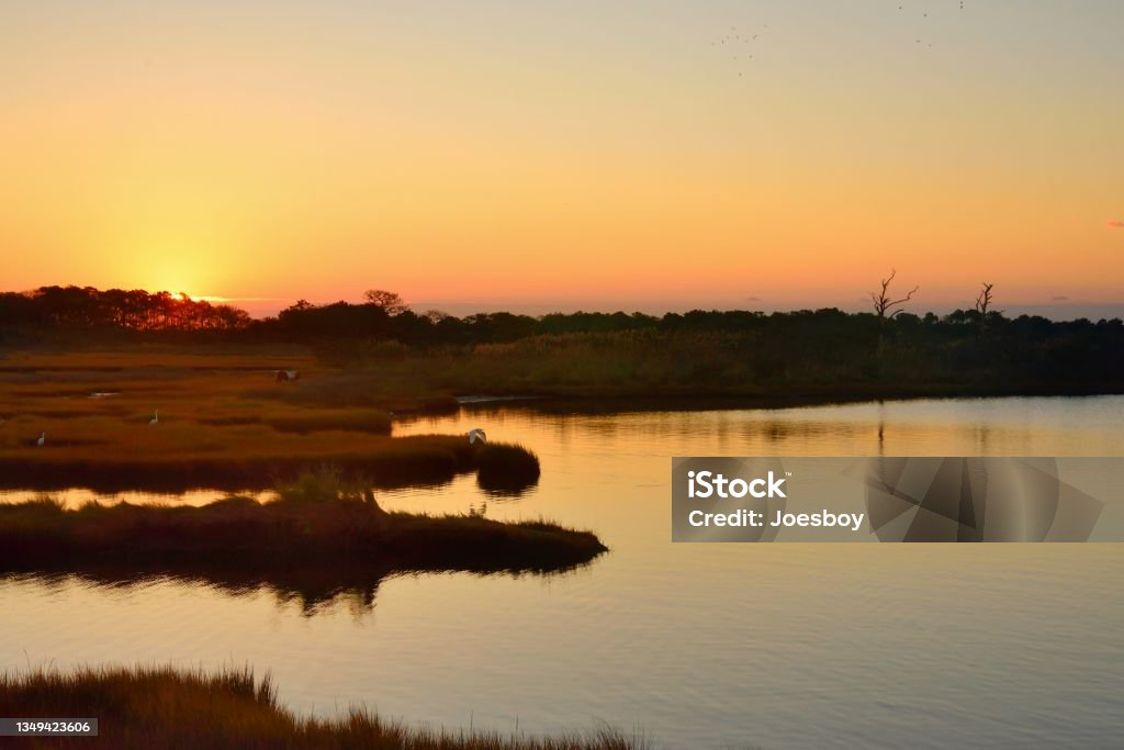 Assateague Isalnd Marsh Sunrise - I Dawn breaking over assateague island national seashore Life of the Marsh nature area with Great Egrets and Little Blue Herons in for breakfast on a chilly Autumn morning and a single Assateague Pony munching in the background Assateague Island National Seashore Stock Photo