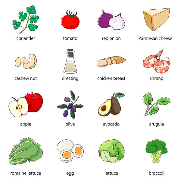 ilustraciones, imágenes clip art, dibujos animados e iconos de stock de conjunto de ilustración vectorial de ingredientes para hacer ensalada - long coriander