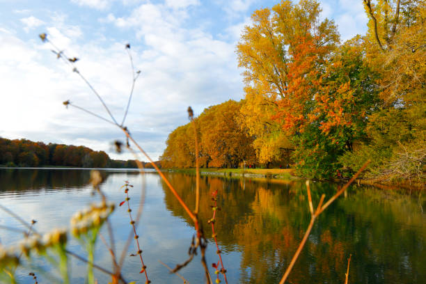 istock Autumn in the Cologne city forest 1349425016