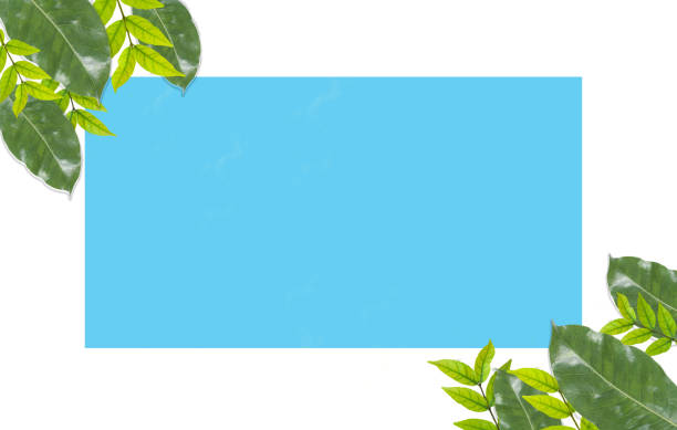 istock beautiful green tropical leaf frame isolated on blue background copy space concept, design, text 1349425604