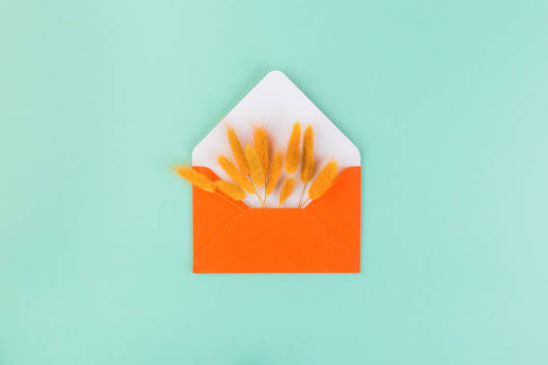 istock Envelope and dry flowers, lagurus, with copy space, on blue table. Stylish mockup for business and lifestyle blog 1349428736