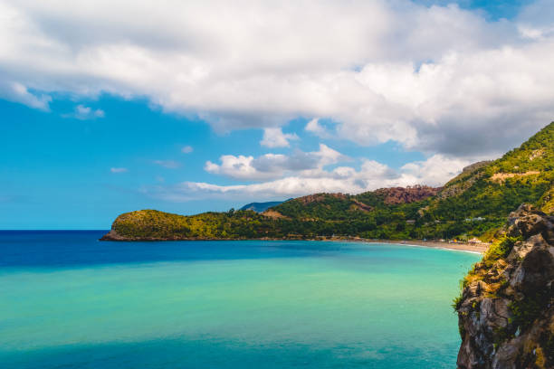 istock Beautiful beach and forest with spring colors and clear sky 1349430604