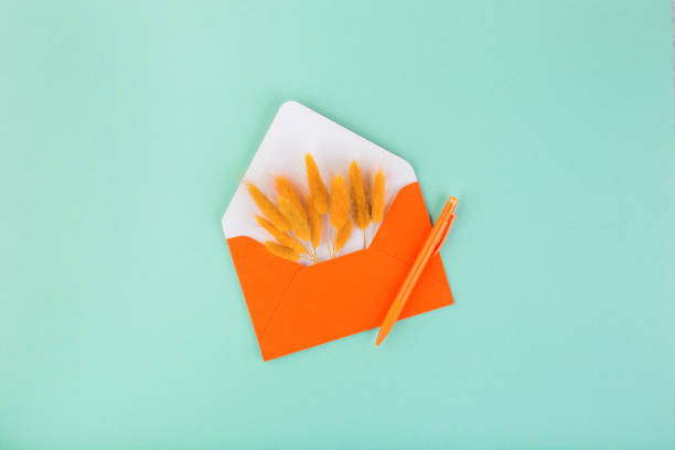 istock Envelope and dry flowers, lagurus, with copy space, on blue table. Stylish mockup for business and lifestyle blog 1349431795