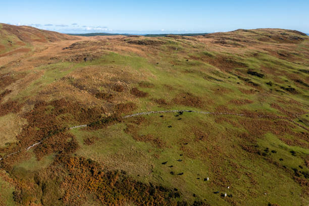 istock Small group of beef cattle grazing on a hillside 1349438802