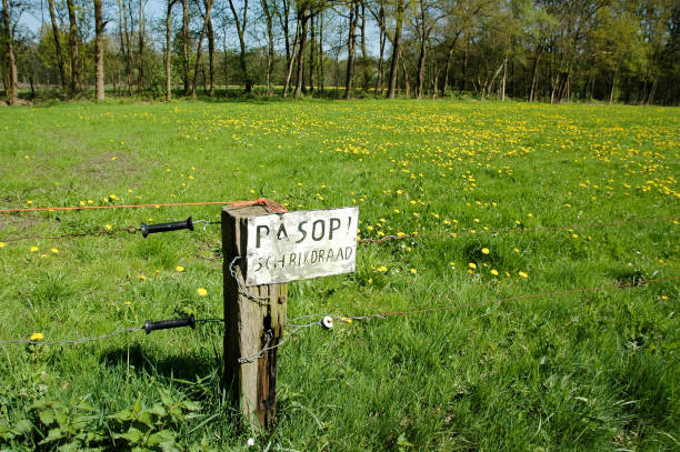 istock PAS OP! Schrikdraad LOOK OUT! Electric fence 1349441896