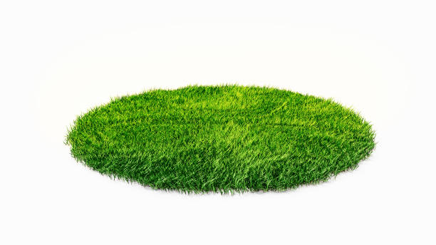 round surface covered with grass, grass podium, lawn background 3d rendering - traçado de recorte imagens e fotografias de stock