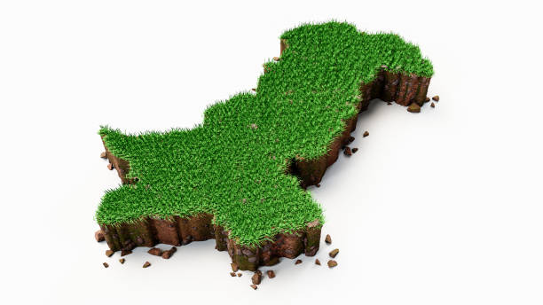 istock Pakistan Map Grass and ground texture 3d illustration 1349446874