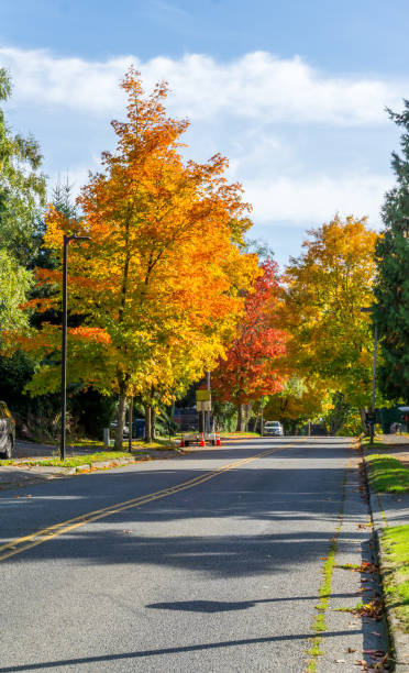 istock Autumn Burien Street 7 1349454493