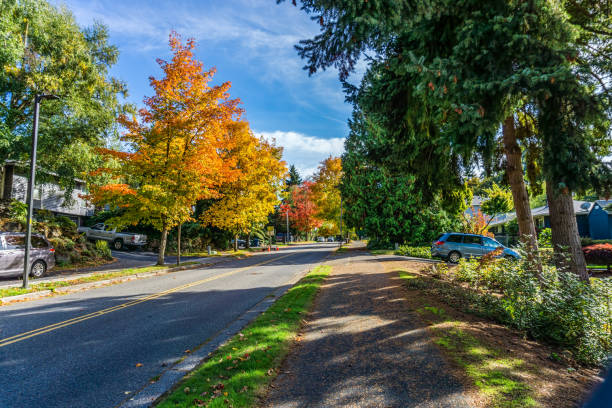 istock Autumn Burien Street 1349454583