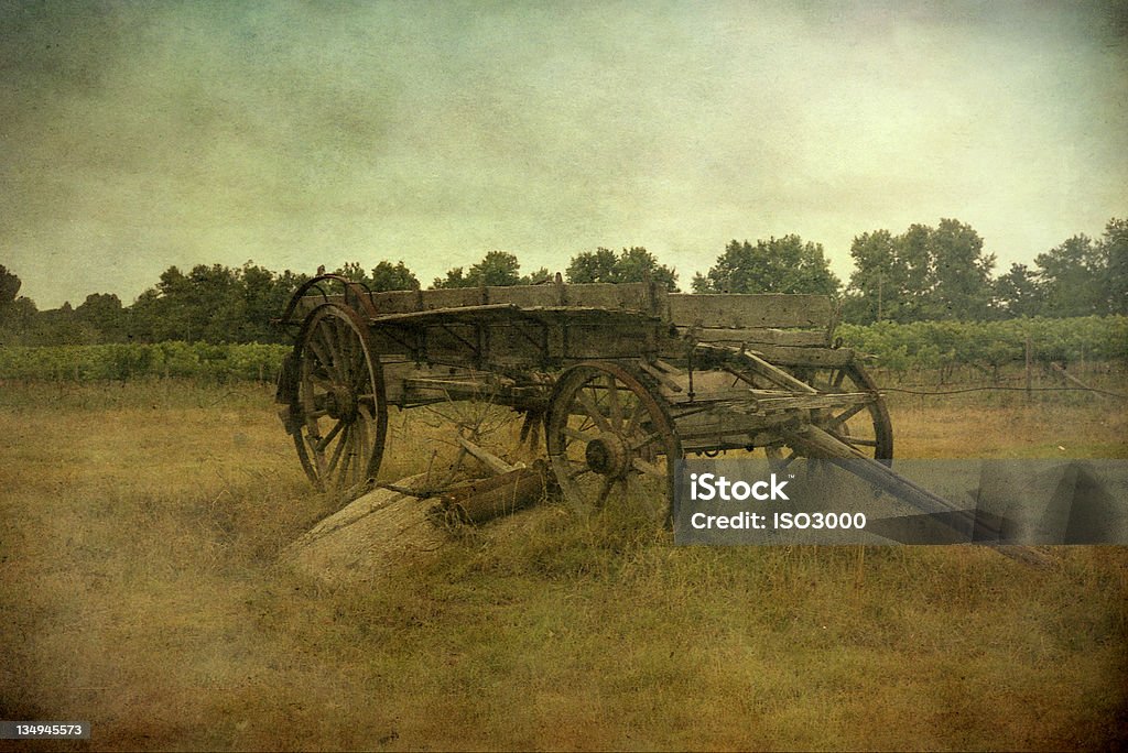 old Trainer in Südafrika - Lizenzfrei Planwagen Stock-Foto