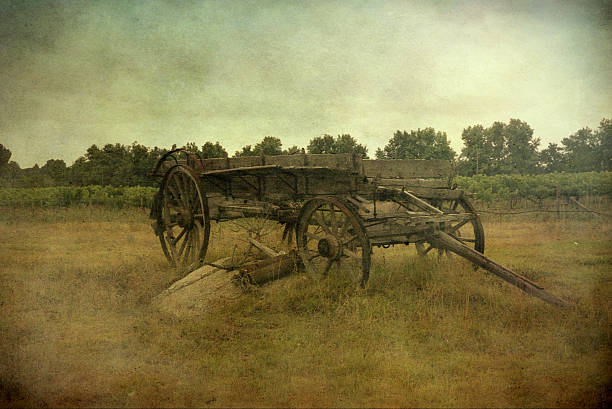 istock old coach in South Africa 134945573
