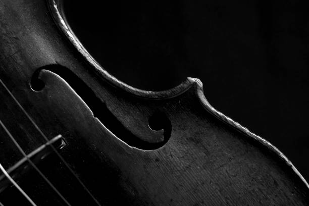 istock Close up of a violin 1349458505