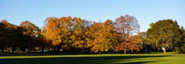 istock Autumn in the park 1349458698