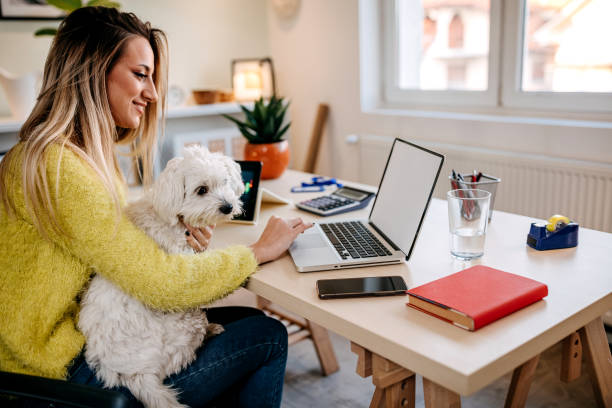 istock Woman trading cryptocurrency on a computer at home 1349462713
