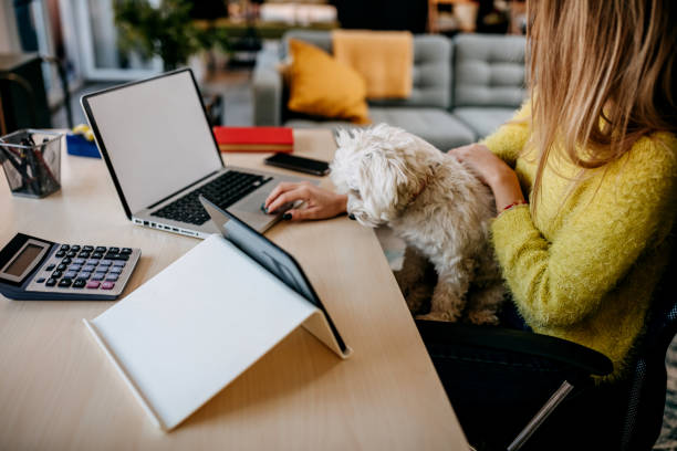 istock Woman trading cryptocurrency on a computer at home 1349462733