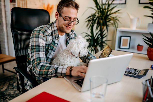 istock Young man and  working online from home 1349462763