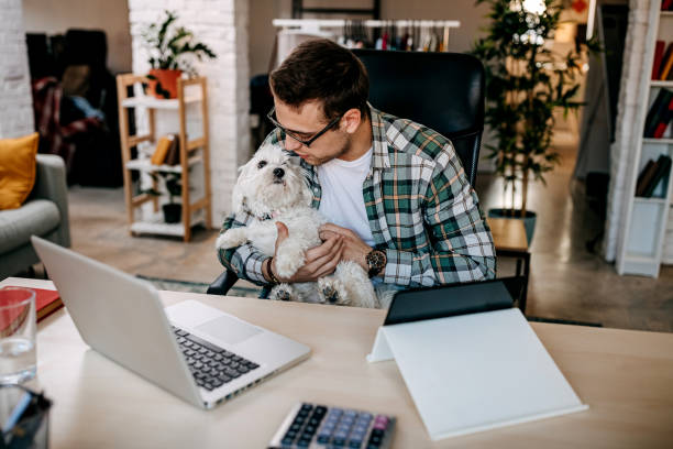 istock Young man and  working online from home 1349462796