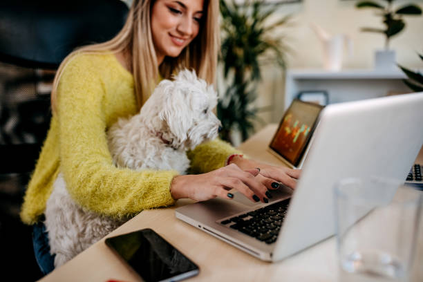 istock Woman trading cryptocurrency on a computer at home 1349462832