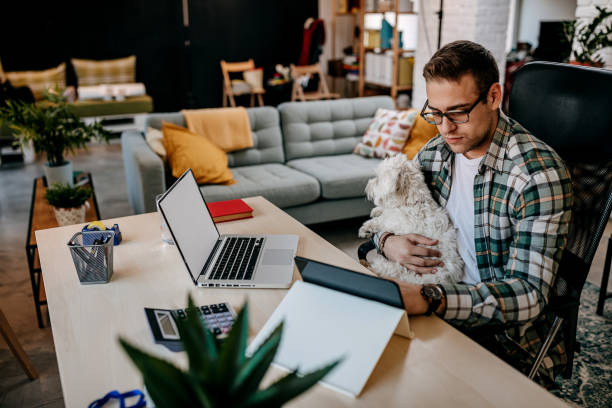 istock Young man and  working online from home 1349462856