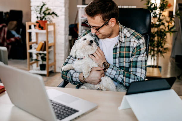 istock Young man and  working online from home 1349463038