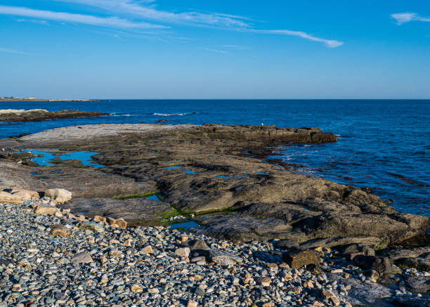 istock Rocky Beach in Newport Rhode Island 1349464305